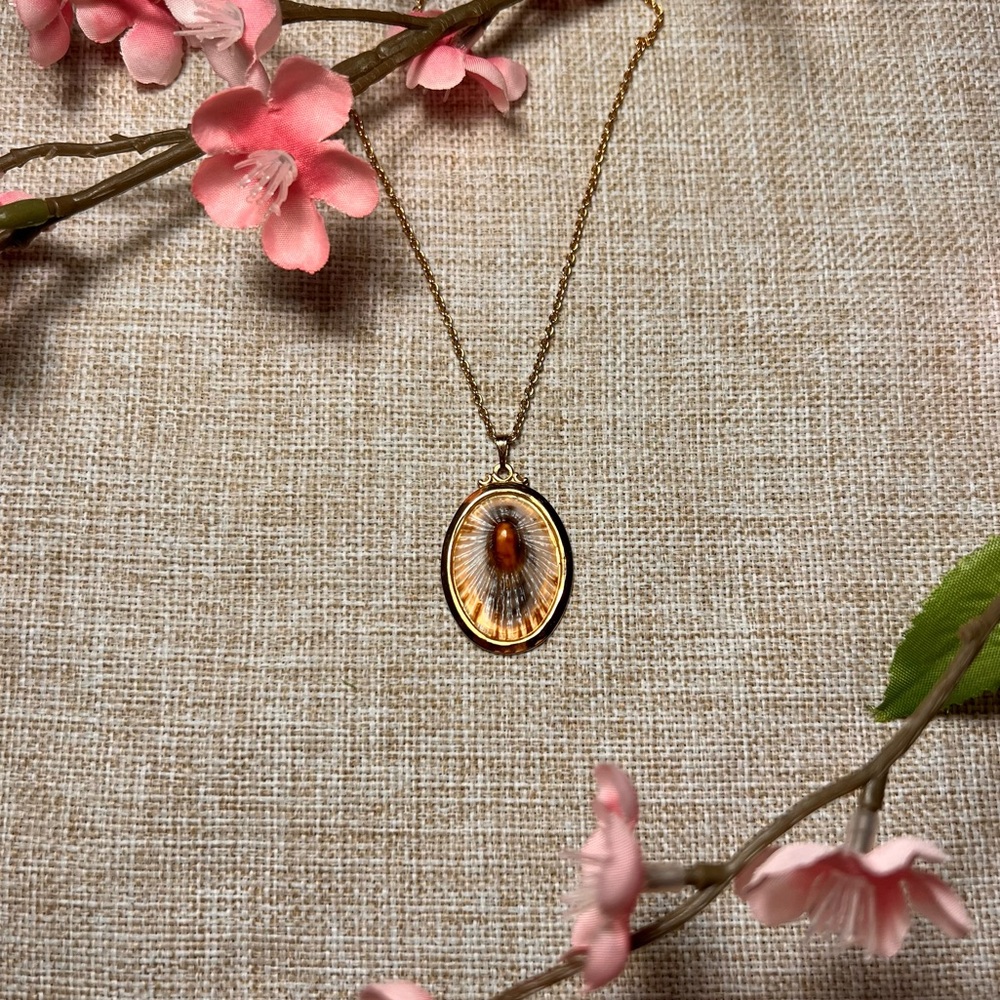 Gold Opihi Seashell Oval Pendent Necklace | Whimsy Coastal Beach